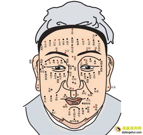 左腿有痣|左腿痣相的解析大全